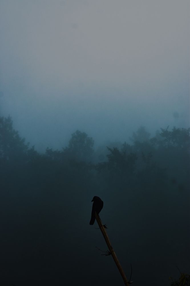 Photograph by Sai kiran teja