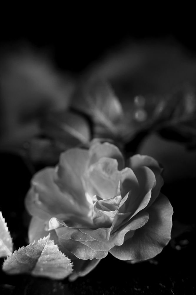 Photograph by Milla Luca