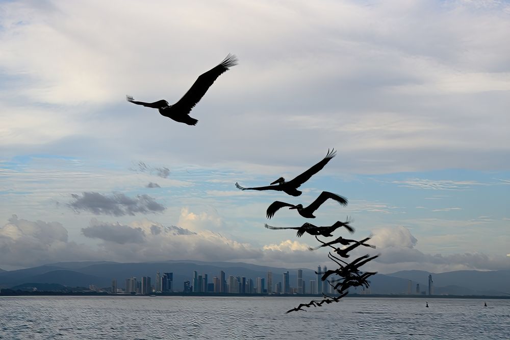 Photograph by Morring David