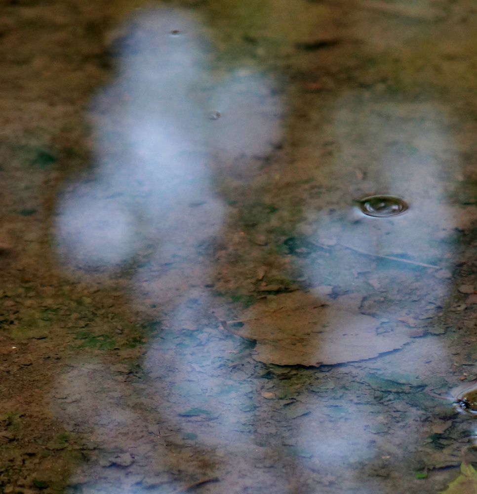 Фотография автора Дмитрий Градинар