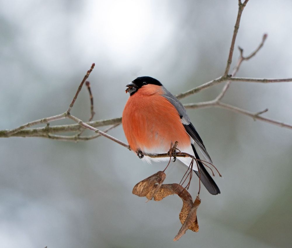 Photograph by Viktor Makarov