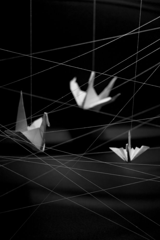 Photograph by Milla Luca