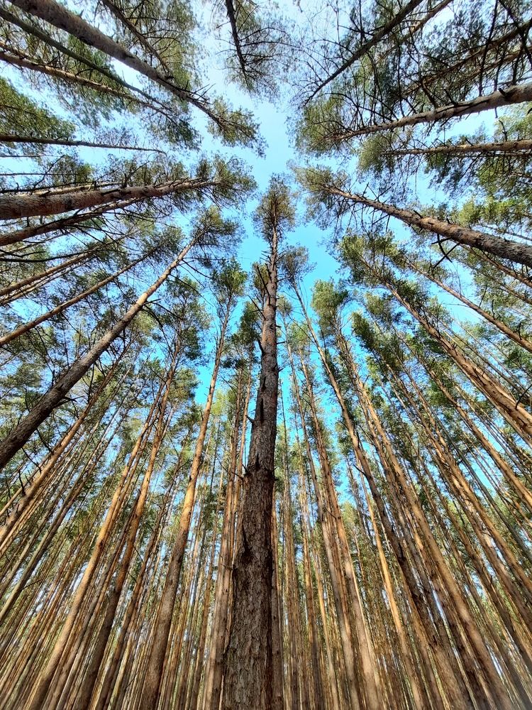 Photograph by Суетинов Евгений