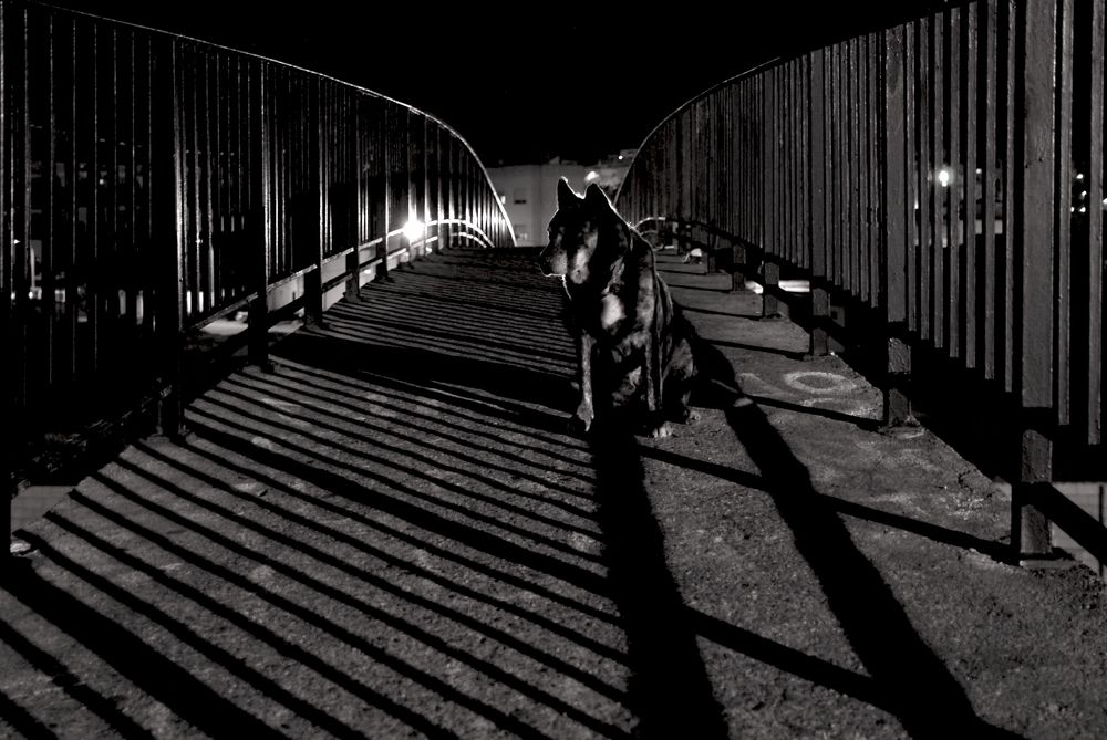Фотография автора José Antonio Benítez Montero