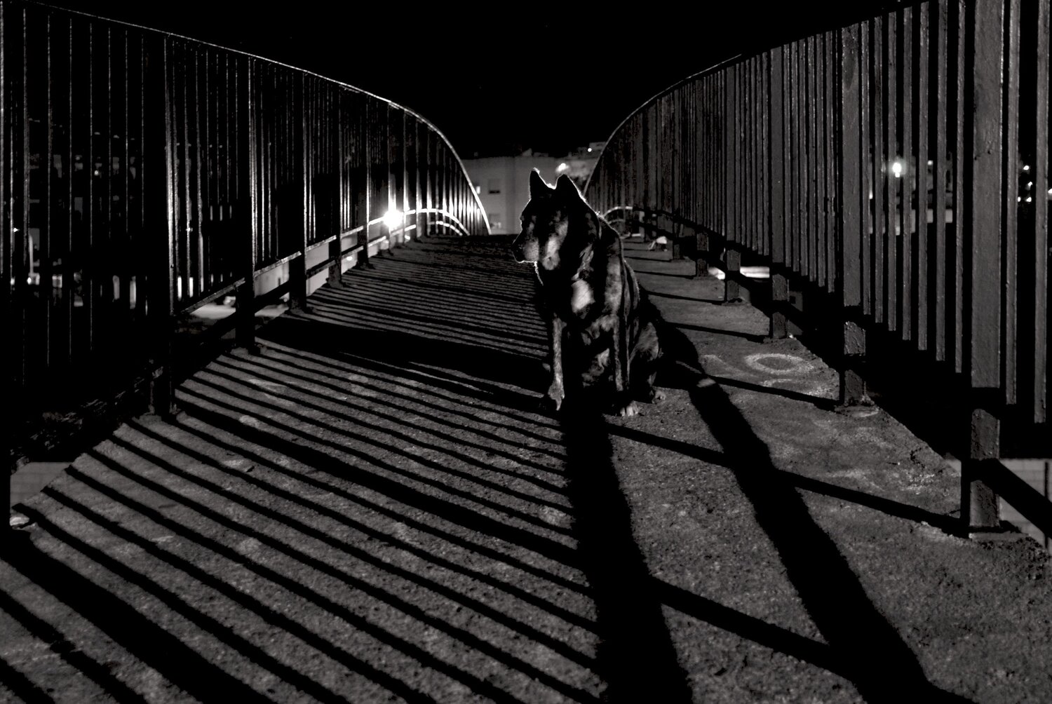Photo #7329256