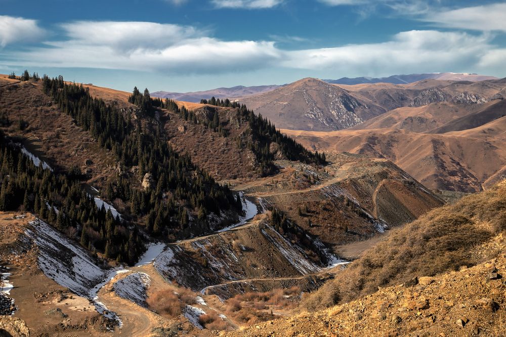 Шоколадная осень