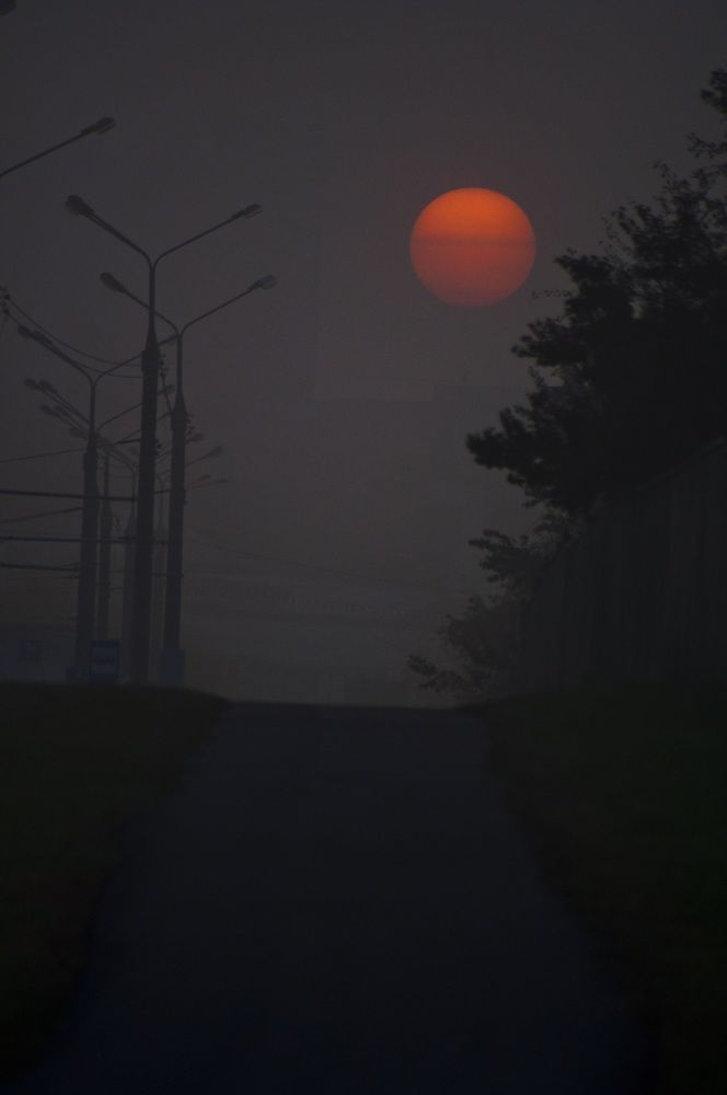 На кануне рассвета