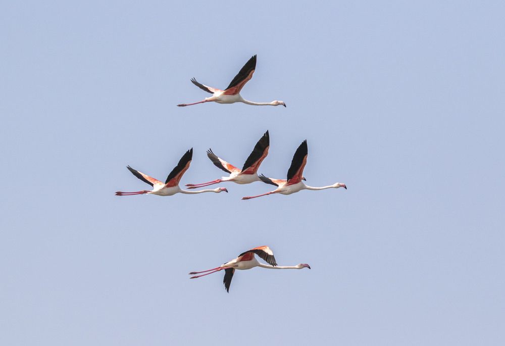 Photograph by Валентина Лопаткина