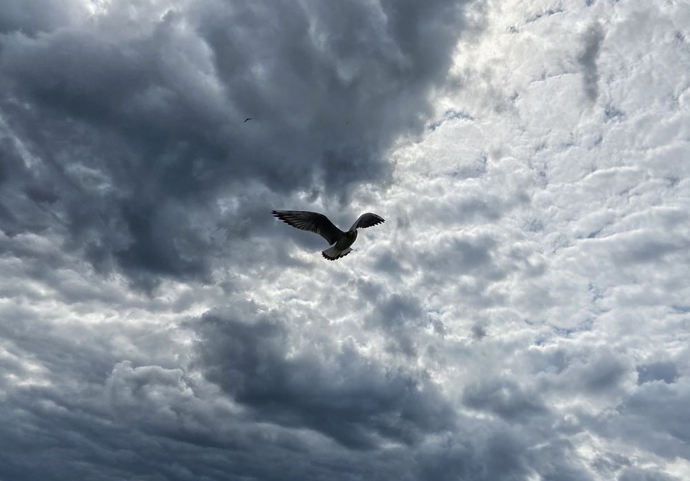 Photograph by Интэро Тиллен