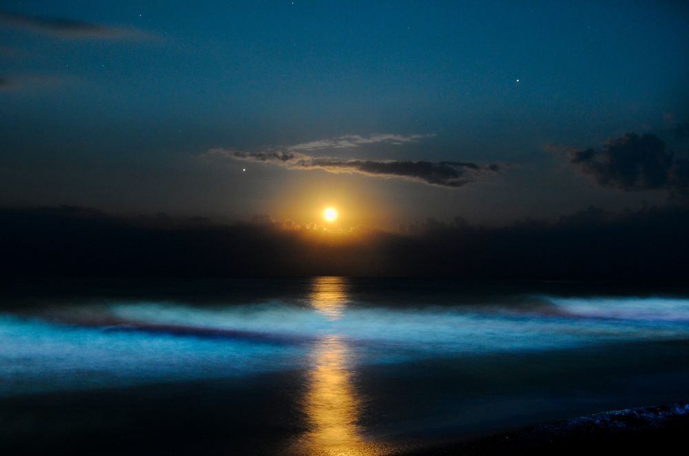 Photograph by Oleksii Kuzmenko