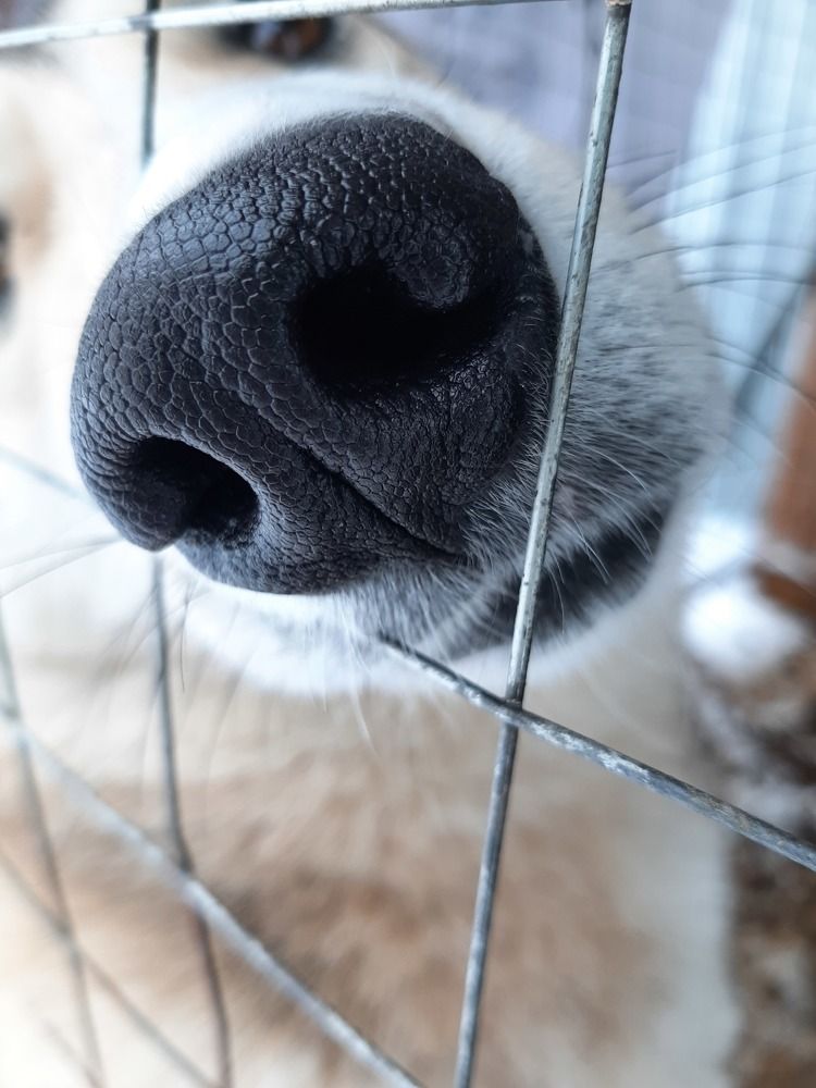 Photograph by Оксана Давыдова