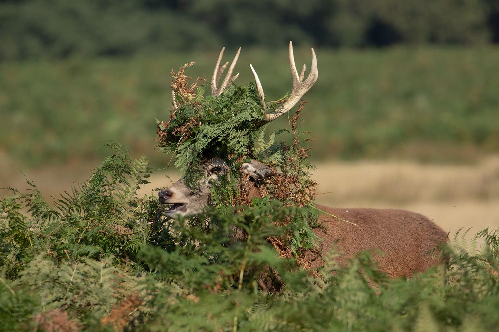 Фотография автора MARIA KULA