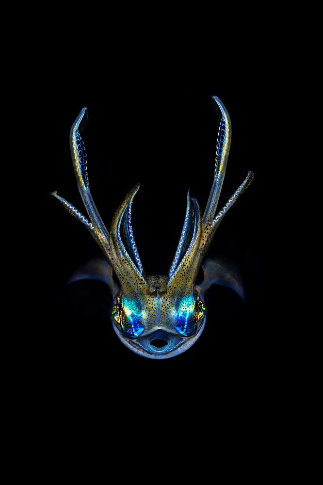 Photograph by Владимир Иваненко