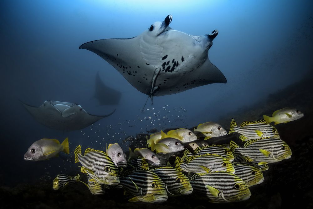 Photograph by Владимир Иваненко