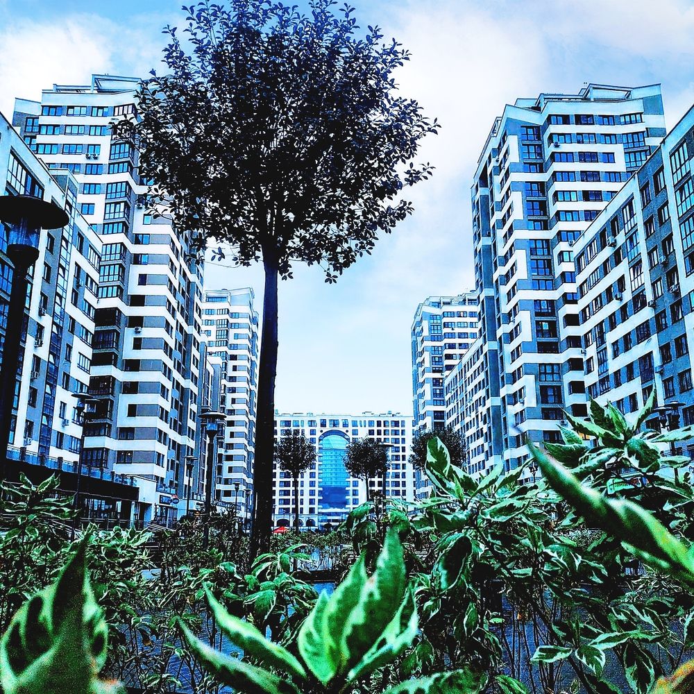 Photograph by Ирина Сыровежкина