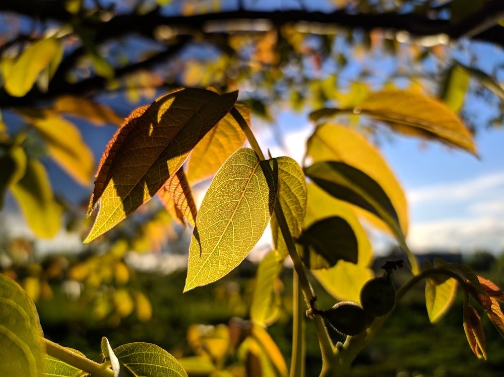 Photograph by Валерія Колосович