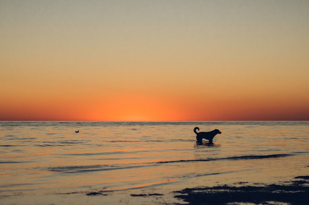 Photograph by Yekaterina Molostova