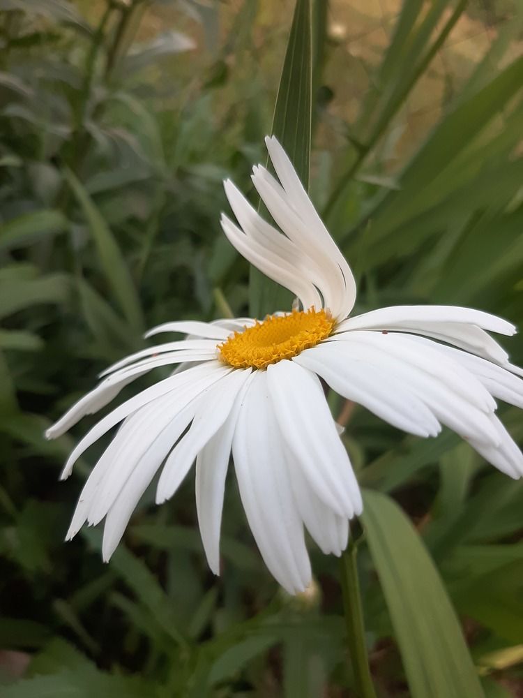 Photograph by Оксана Давыдова