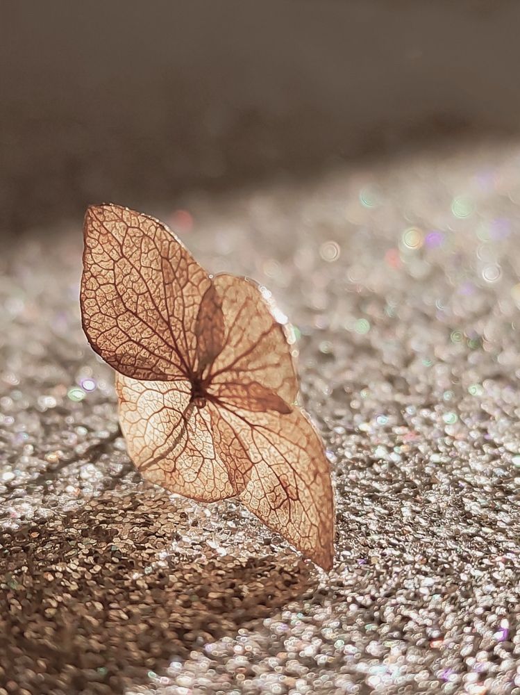 Photograph by Helen Ka