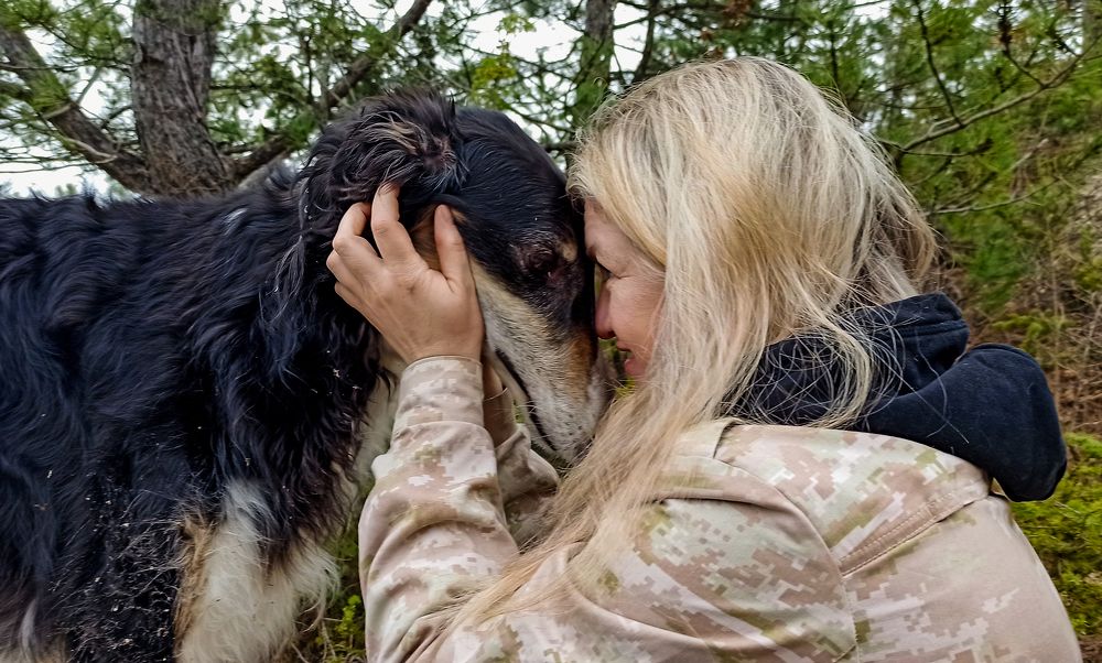 Photograph by Алексей Мордвишин