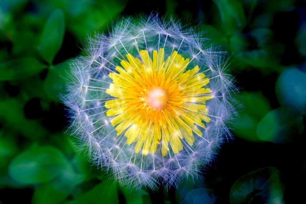 Обичам те Ради!!! Липсваш ми!!!