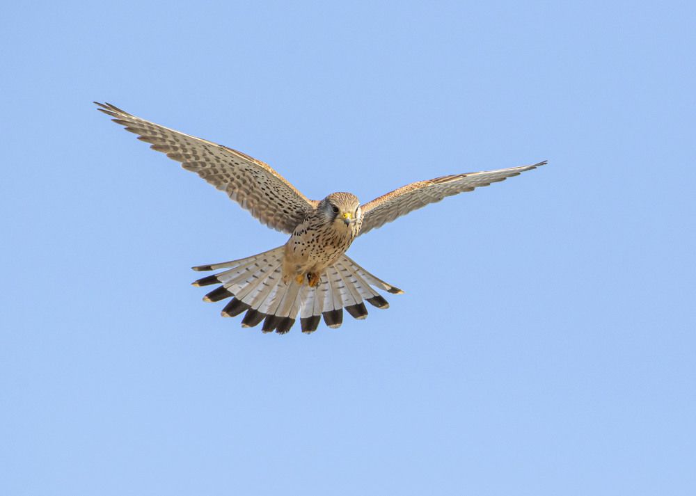 Photograph by Валентина Лопаткина