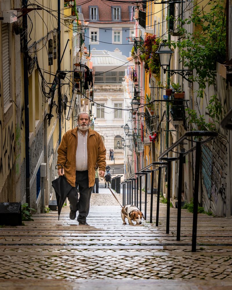 Photograph by Ana Grozea