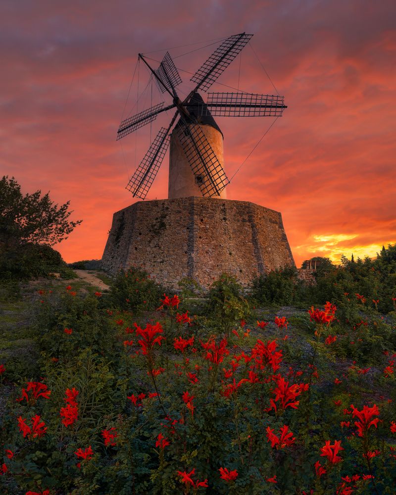 Photograph by Rubén Molina Fernández