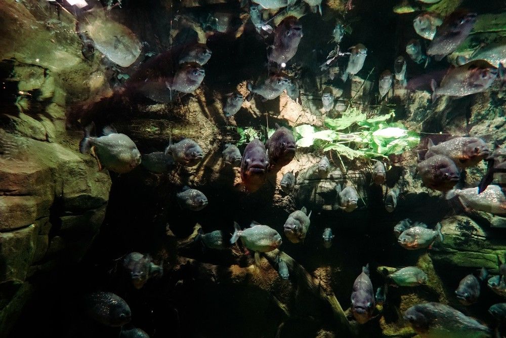 Photograph by Антон Щелкунов