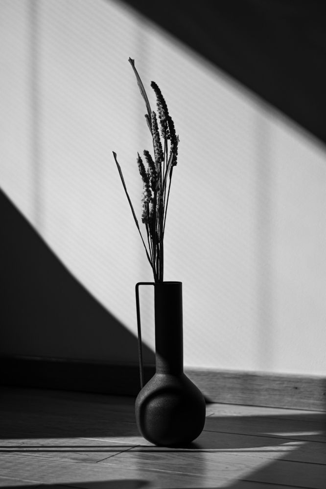 Фотография автора Aida Mujcin