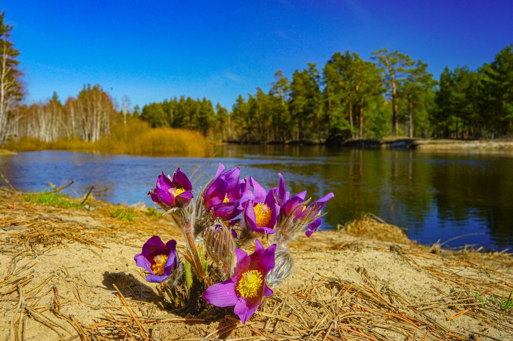 Photograph by Михаил