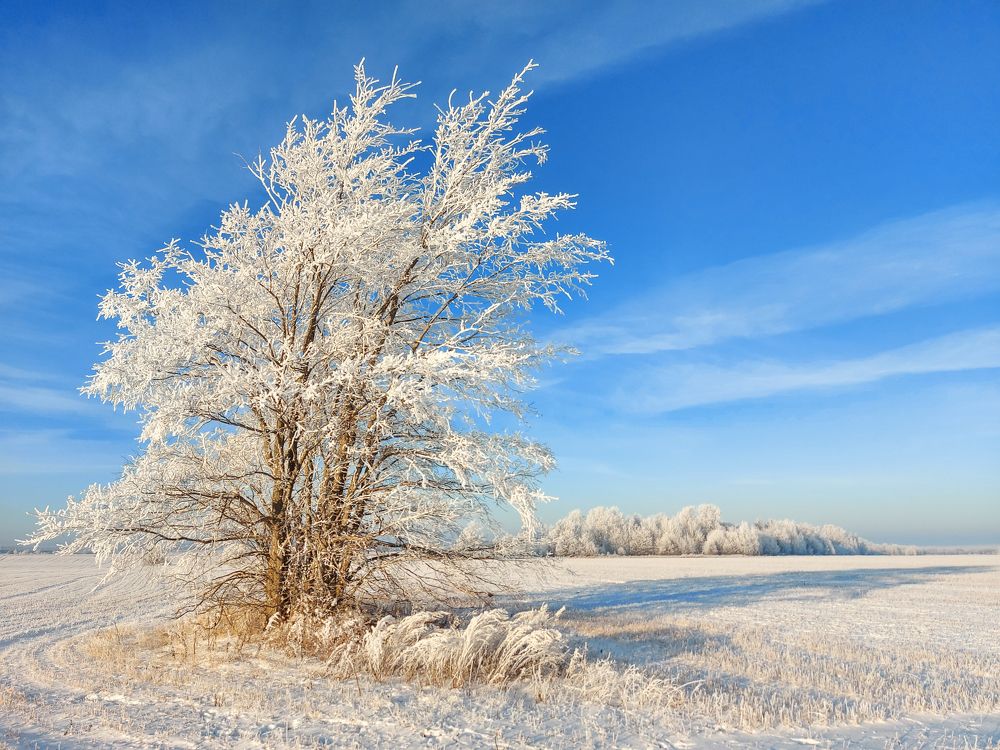 Photograph by Игорь Степанов