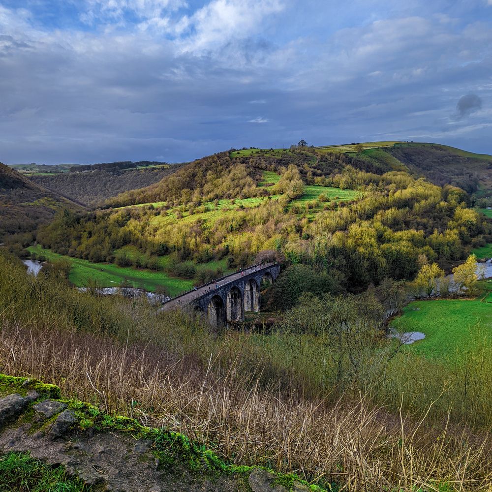 Bridging the differences!