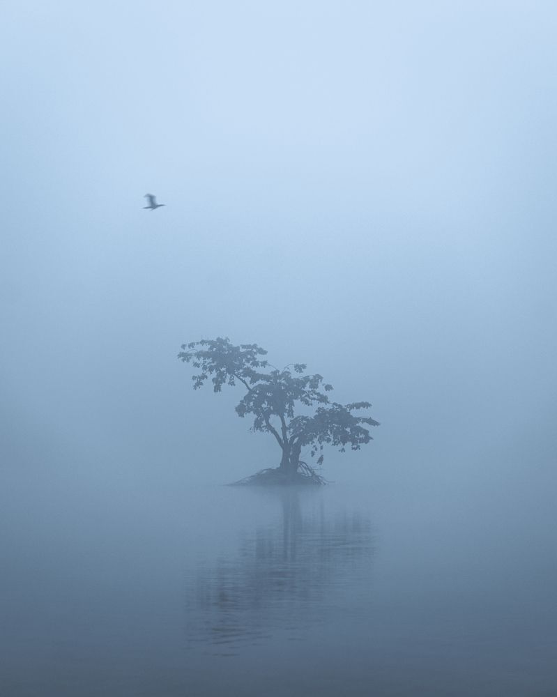 Photograph by Pankaj Chautala