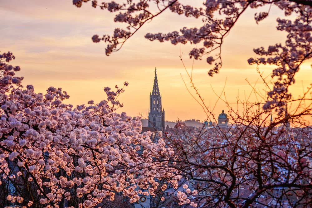 Photograph by Kitty Bern