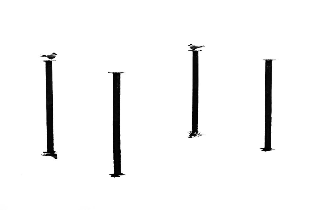 Фотография автора Александр Поляков