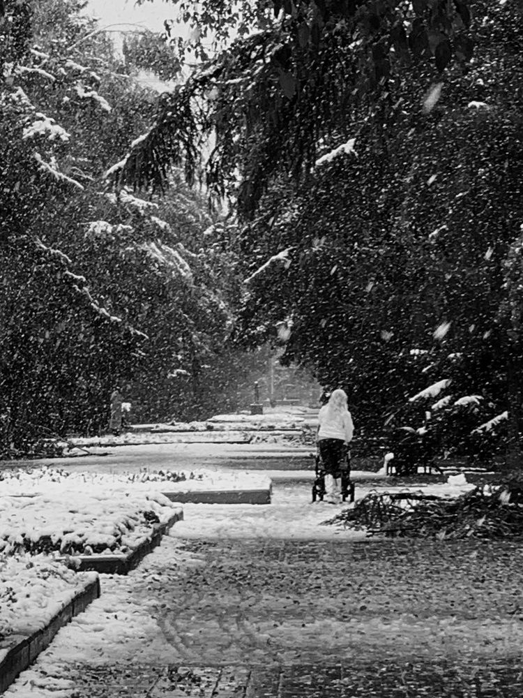 Photograph by Сергей Конопленко