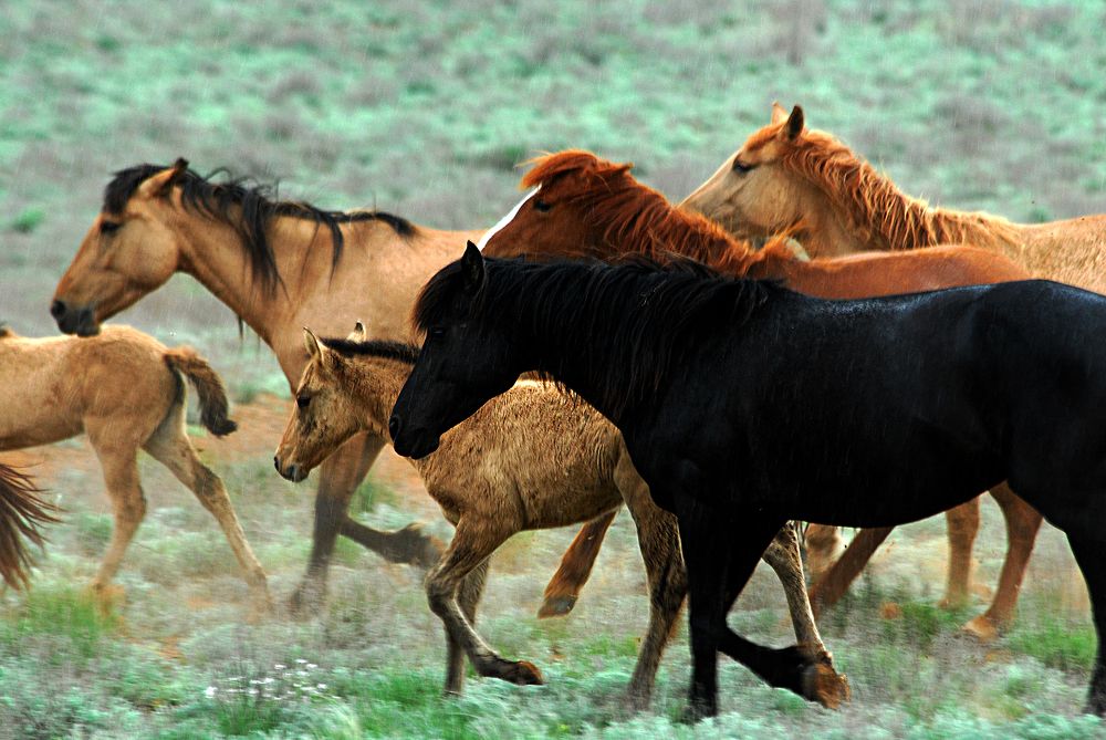 Photograph by Ястребцов Олег