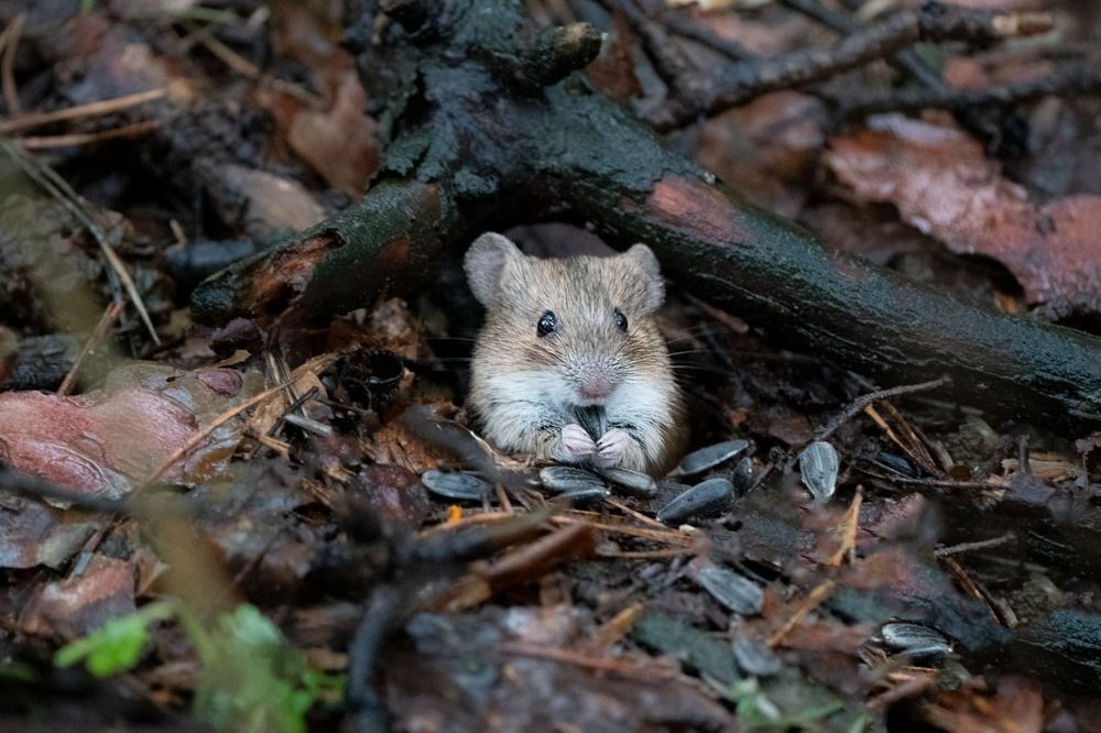 Photograph by Viktor Makarov