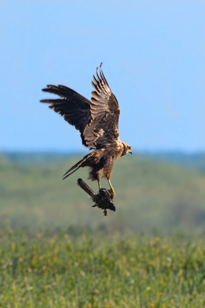 Photograph by Seeja Sadath