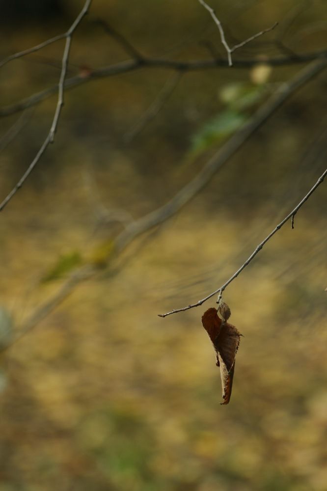 Photograph by Яна Соболева
