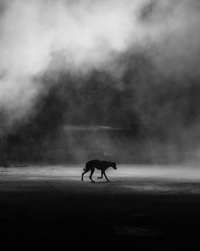 Photograph by Pankaj Chautala