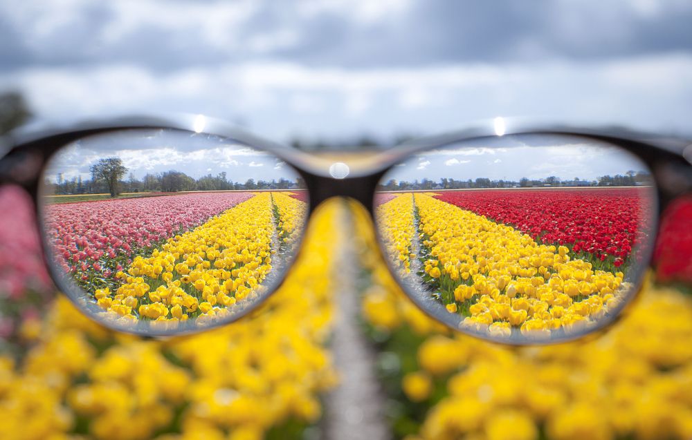 Photograph by Claudio Ciardi