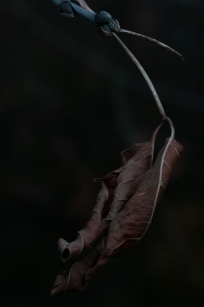 Photograph by Яна Соболева