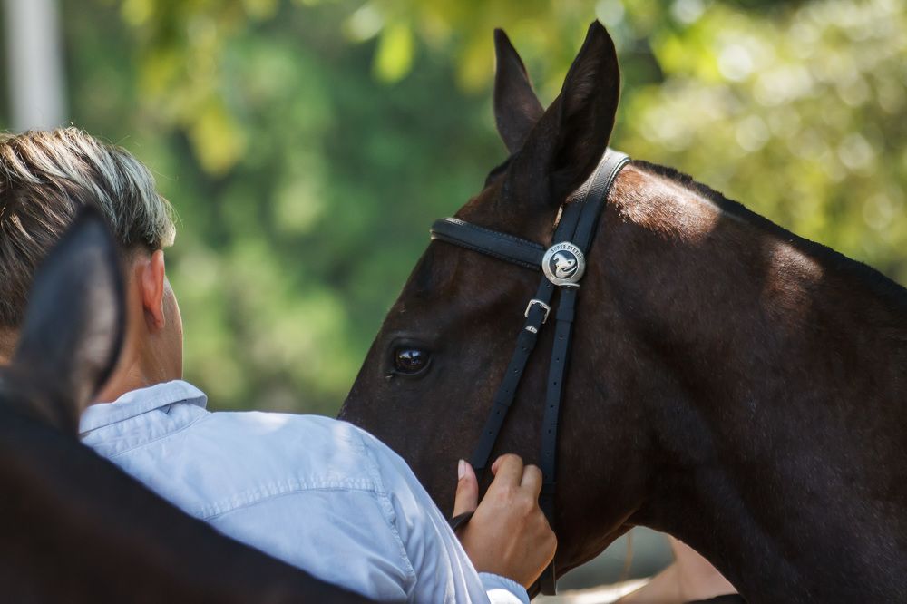 Photograph by Ольга Сельницына