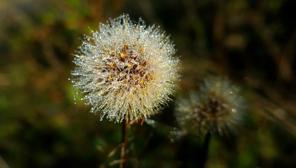 Фотография автора Віталій