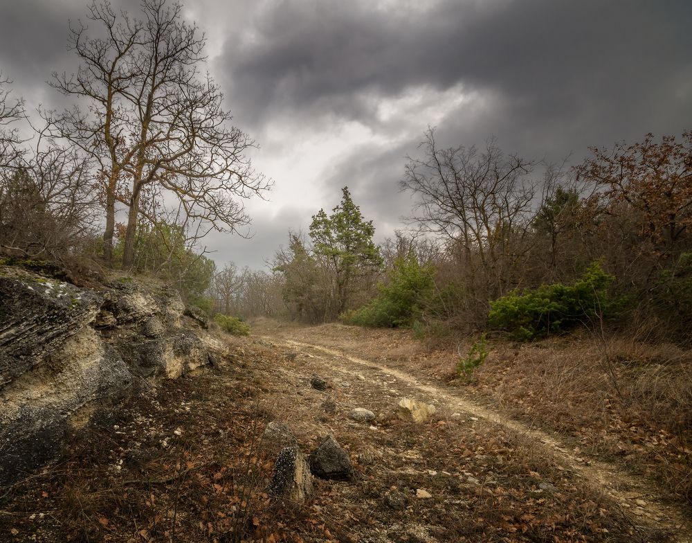 Photograph by Сергей Черкасов