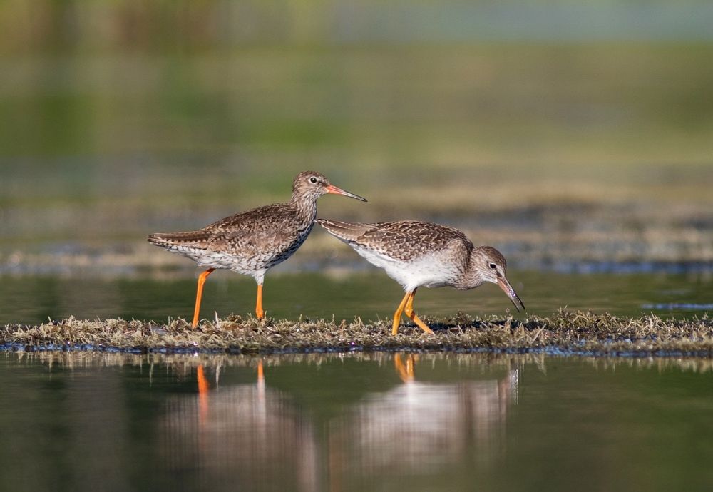 Photograph by Павел Краснослободцев