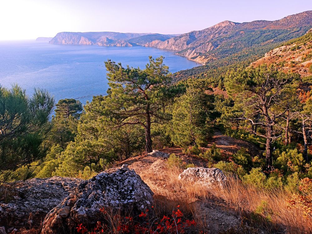 Photograph by Анна Корытина