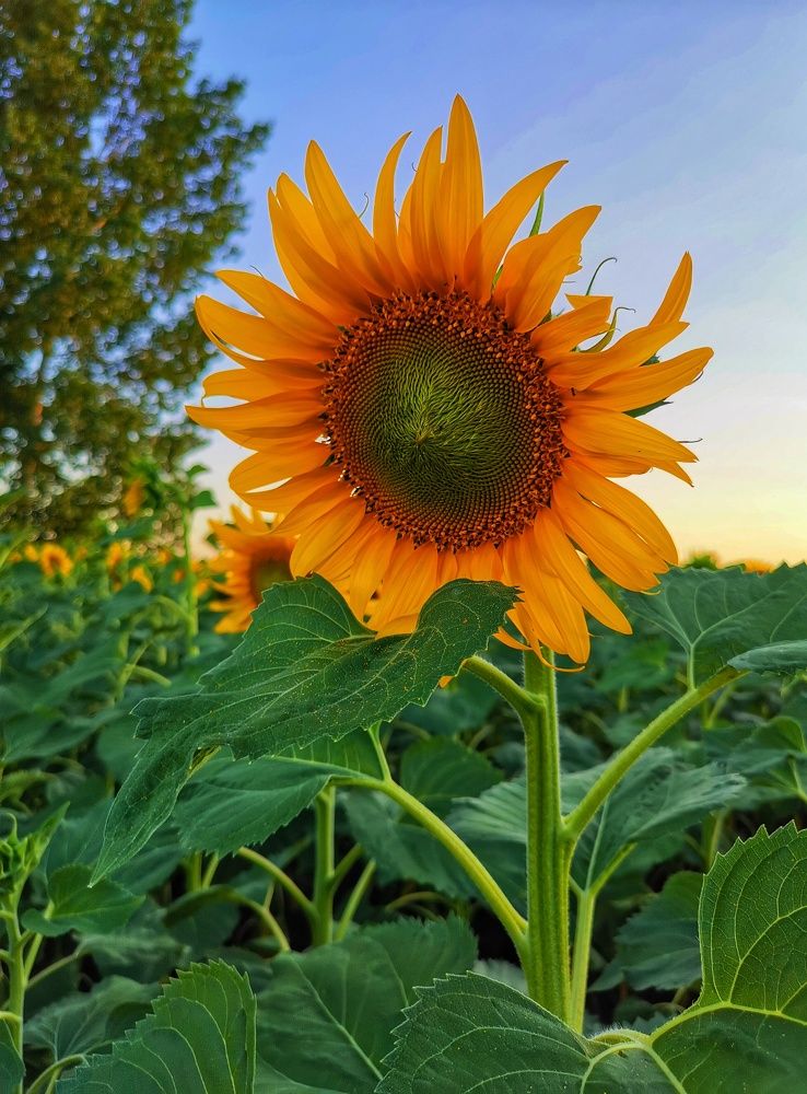 Photograph by Владимир Прорешный